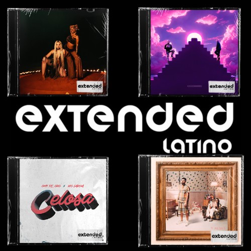 9 Meses (Extended Latino)